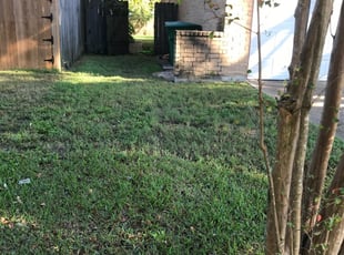 Riverside Ca Lawn Care Service Lawn Mowing From 19 Lawnstarter