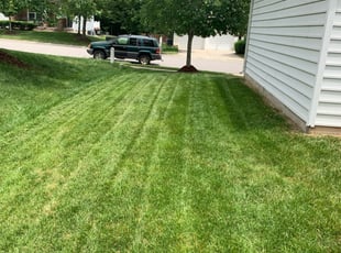 Riverview Fl Landscaping From 29 1 Landscapers Best Of 2020