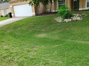 Riverview Fl Lawn Care Service Lawn Mowing From 19 Rated Best 2020