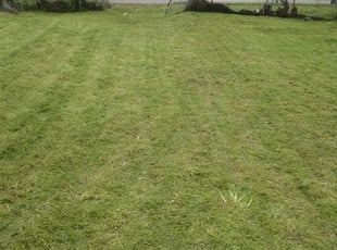 1 Rochester Mi Lawn Care Service Lawn Mowing From 19 Best 2020