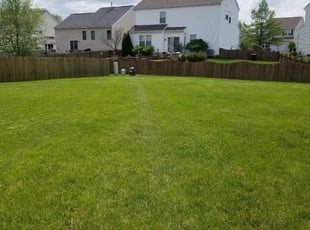 1 Rochester Mi Lawn Care Service Lawn Mowing From 19 Best 2020