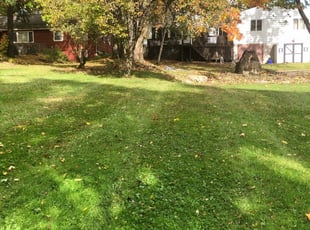 Rochester Ny Lawn Care Service Lawn Mowing From 19 Lawnstarter