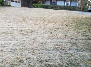 Rochester Ny Lawn Care Service Lawn Mowing From 19 Lawnstarter