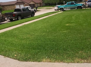 Rochester, NY Lawn Care Service | Lawn Mowing from $19 | LawnStarter