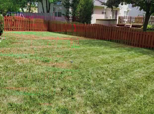 Rochester Ny Lawn Care Service Lawn Mowing From 19 Lawnstarter
