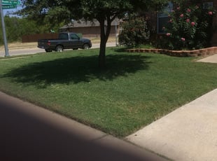Rochester Ny Lawn Care Service Lawn Mowing From 19 Lawnstarter