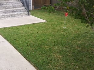 Rock Hill Sc Landscaping From 29 1 Landscapers Best Of 2020