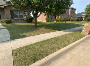 1 Rockwall Tx Lawn Care Service Lawn Mowing From 19 Best 2020
