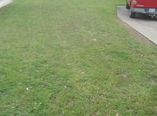 1 Rockwall Tx Lawn Care Service Lawn Mowing From 19 Best 2020