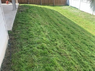 1 Rockwall Tx Lawn Care Service Lawn Mowing From 19 Best 2020