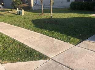Romulus Mi Lawn Care Service Lawn Mowing From 19 Rated Best 2020