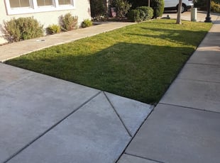 1 Rosenberg Tx Lawn Care Service Lawn Mowing From 19 Best 2020
