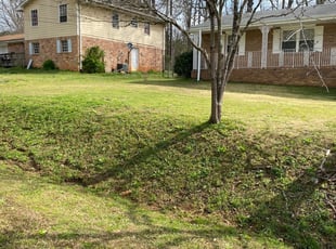 1 Rosenberg Tx Lawn Care Service Lawn Mowing From 19 Best 2020