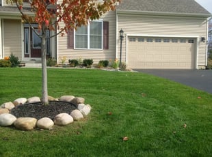 1 Roseville Ca Lawn Care Service Lawn Mowing From 19 Best 2020