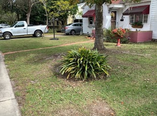1 Roseville Ca Lawn Care Service Lawn Mowing From 19 Best 2020