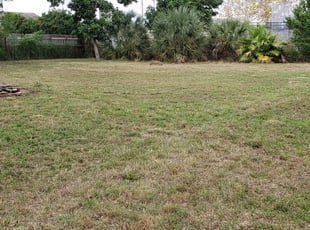 Roseville Mi Lawn Care Service Lawn Mowing From 19 Rated Best 2020