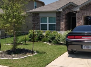 Rosharon Tx Lawn Care Service Lawn Mowing From 19 Rated Best 2020