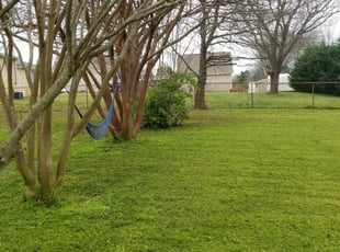 1 Roswell Ga Lawn Care Service Lawn Mowing From 19 Best 2020