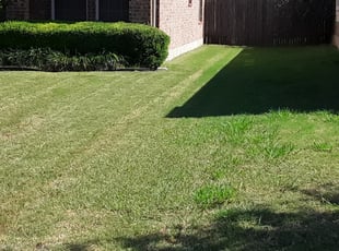 1 Roswell Ga Lawn Care Service Lawn Mowing From 19 Best 2020