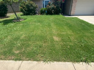 Round Lake Il Lawn Care Service Lawn Mowing From 19 Rated Best 2020