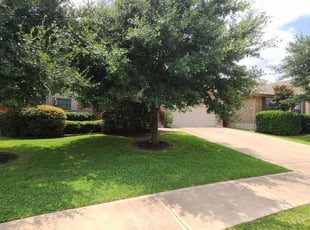 Get Lawn Care Services In Houston From Dmd Lawn Service