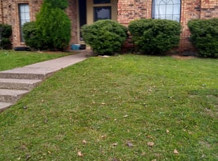 1 Rowlett Tx Lawn Care Service Lawn Mowing From 19 Best 2020