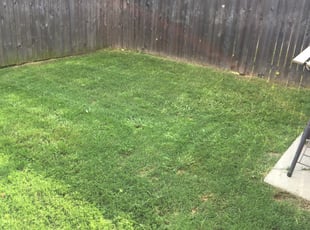 1 Rowlett Tx Lawn Care Service Lawn Mowing From 19 Best 2020