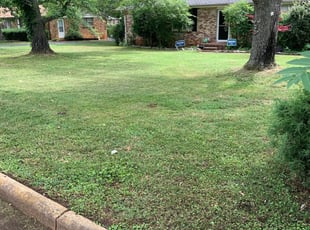 1 Roxboro Nc Lawn Care Service Lawn Mowing From 19 Best 2020