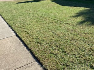 #1 Royal Oak, MI Lawn Care Service | Lawn Mowing from $19 ...