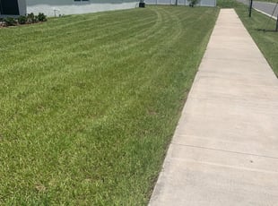 1 Ruskin Fl Lawn Care Service Lawn Mowing From 19 Best 2020