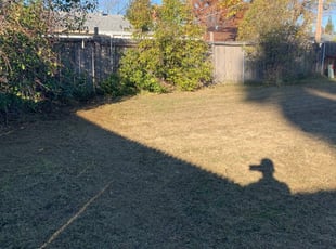 Elk Grove Tree Care Tree Trimming Service And Removal