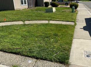 1 Sacramento Ca Lawn Care Service Lawn Mowing From 19 Best 2020