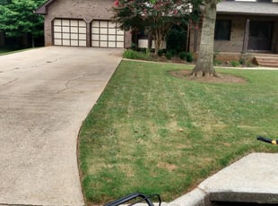 1 Sacramento Ca Lawn Care Service Lawn Mowing From 19 Best 2020