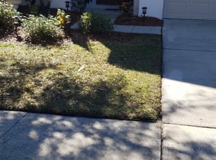 1 Safety Harbor Fl Lawn Care Service Lawn Mowing From 19 Best 2020