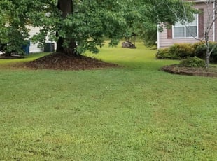 1 Saginaw Tx Lawn Care Service Lawn Mowing From 19 Best 2020
