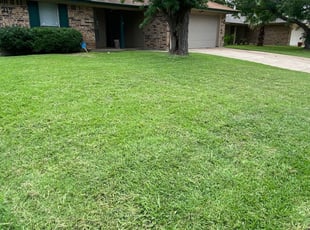 1 Saint Augustine Fl Lawn Care Service Lawn Mowing From 19 Best 2020