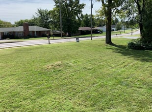 1 Saint Charles Mo Lawn Care Service Lawn Mowing From 19 Best 2020
