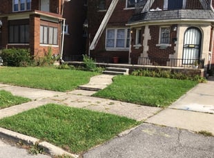 1 Saint Charles Mo Lawn Care Service Lawn Mowing From 19 Best 2020