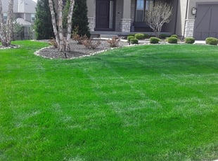 Saint Helens Or Lawn Care Service Lawn Mowing From 19 Rated Best 2020