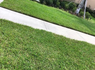 Landscape66 7 300x225 Jpg 300 225 Pixels Landscaping With Rocks Front Yard Landscaping Landscaping Around Trees