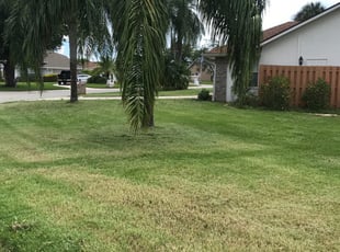 Saint Peters Mo Lawn Care Service Lawn Mowing From 19 Rated Best 2020