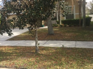 Landscaping jobs in salisbury md