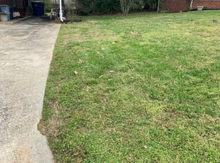 Landscaping jobs in salisbury md
