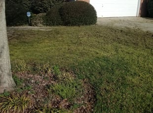 Salisbury Nc Lawn Care Service Lawn Mowing From 19 Rated Best 2020