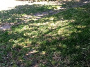 1 Salt Lake City Ut Lawn Care Service Lawn Mowing From 19 Best 2020
