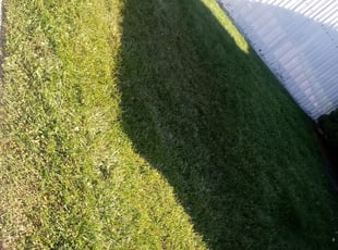 1 Salt Lake City Ut Lawn Care Service Lawn Mowing From 19 Best 2020