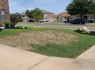 #1 San Antonio, TX Lawn Care Service | Lawn Mowing from ...