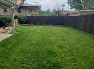 San Diego Ca Lawn Care Service Lawn Mowing From 19 Lawnstarter