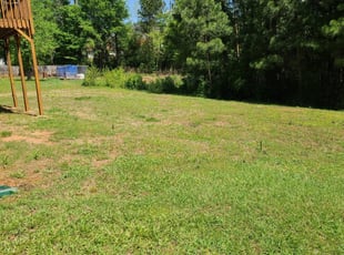 San Diego Ca Lawn Care Service Lawn Mowing From 19 Lawnstarter