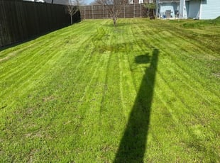 1 San Jose Ca Lawn Care Service Lawn Mowing From 19 Best 2020